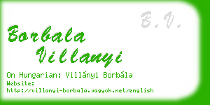 borbala villanyi business card