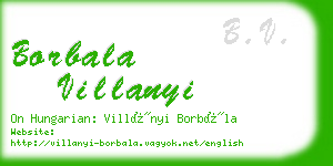 borbala villanyi business card